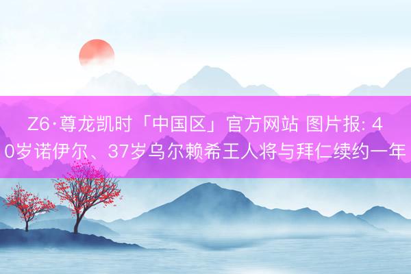 Z6·尊龙凯时「中国区」官方网站 图片报: 40岁诺伊尔、37岁乌尔赖希王人将与拜仁续约一年