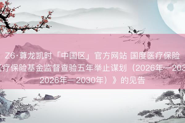 Z6·尊龙凯时「中国区」官方网站 国度医疗保险局对于印发《医疗保险基金监督查验五年举止谋划（2026年—2030年）》的见告