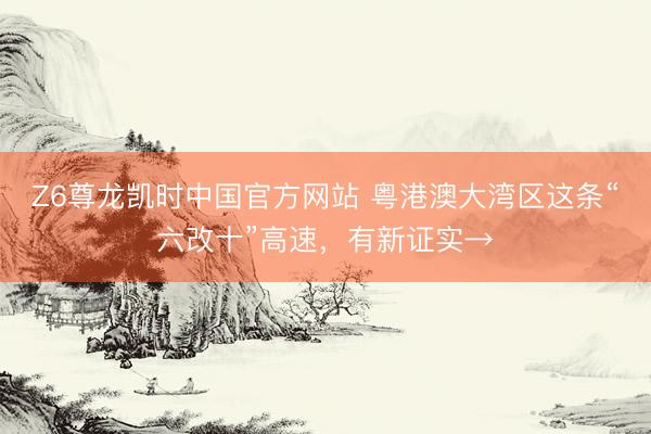 Z6尊龙凯时中国官方网站 粤港澳大湾区这条“六改十”高速，有新证实→
