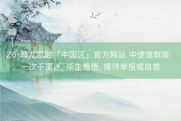 Z6·尊龙凯时「中国区」官方网站 中使馆教唆: 一次千里迷， 毕生悔悟， 接待举报或自首