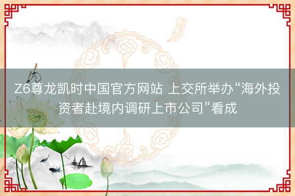 Z6尊龙凯时中国官方网站 上交所举办“海外投资者赴境内调研上市公司”看成