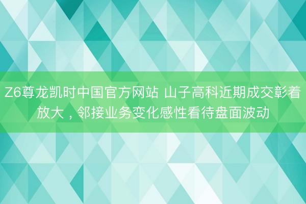 Z6尊龙凯时中国官方网站 山子高科近期成交彰着放大 ， 邻接业务变化感性看待盘面波动