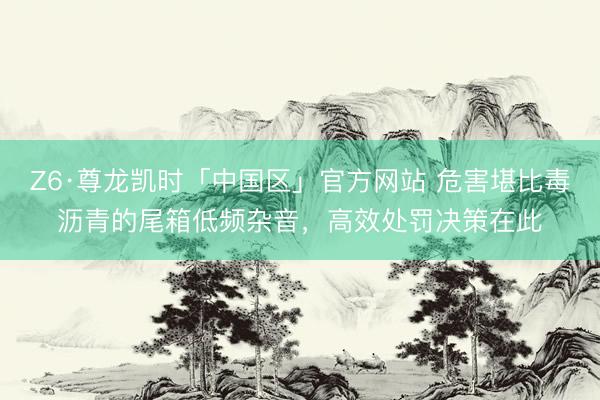 Z6·尊龙凯时「中国区」官方网站 危害堪比毒沥青的尾箱低频杂音，高效处罚决策在此