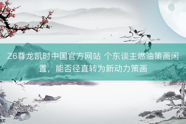 Z6尊龙凯时中国官方网站 个东谈主燃油策画闲置，能否径直转为新动力策画