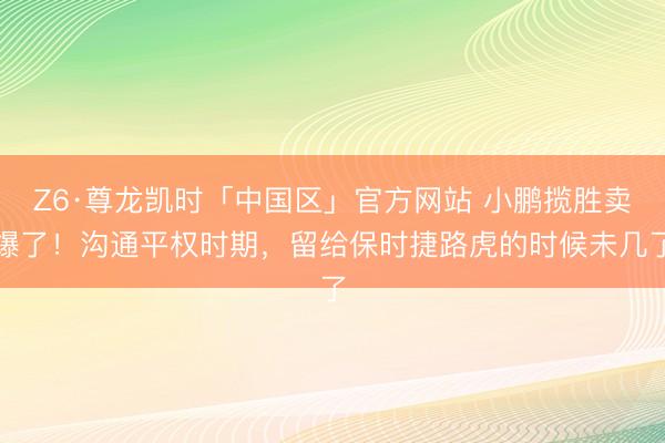 Z6·尊龙凯时「中国区」官方网站 小鹏揽胜卖爆了！沟通平权时期，留给保时捷路虎的时候未几了