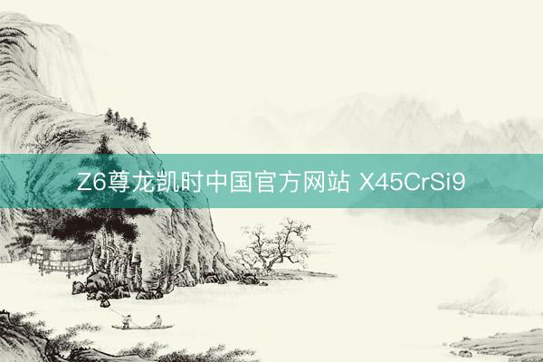 Z6尊龙凯时中国官方网站 X45CrSi9