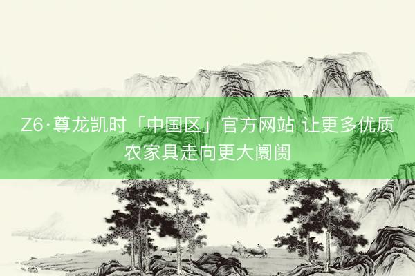 Z6·尊龙凯时「中国区」官方网站 让更多优质农家具走向更大阛阓