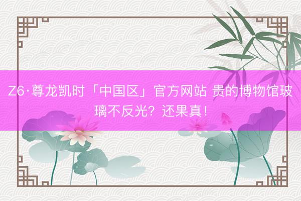 Z6·尊龙凯时「中国区」官方网站 贵的博物馆玻璃不反光？还果真！