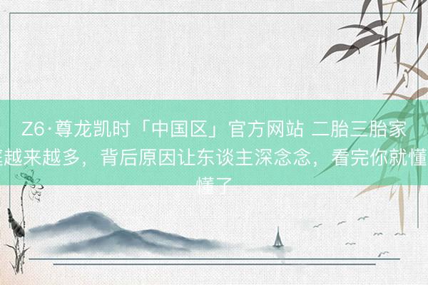 Z6·尊龙凯时「中国区」官方网站 二胎三胎家庭越来越多，背后原因让东谈主深念念，看完你就懂了