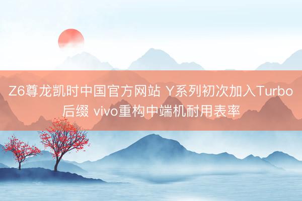 Z6尊龙凯时中国官方网站 Y系列初次加入Turbo后缀 vivo重构中端机耐用表率