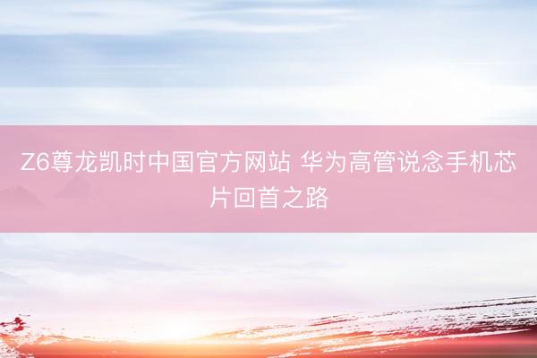 Z6尊龙凯时中国官方网站 华为高管说念手机芯片回首之路