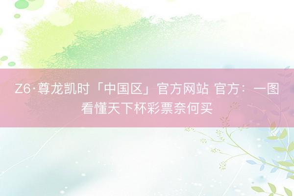 Z6·尊龙凯时「中国区」官方网站 官方：一图看懂天下杯彩票奈何买