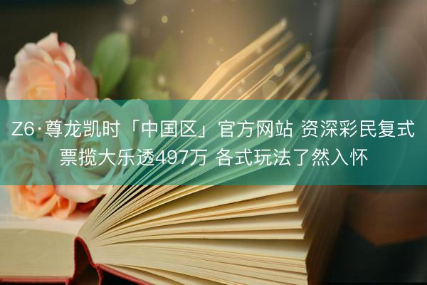 Z6·尊龙凯时「中国区」官方网站 资深彩民复式票揽大乐透497万 各式玩法了然入怀