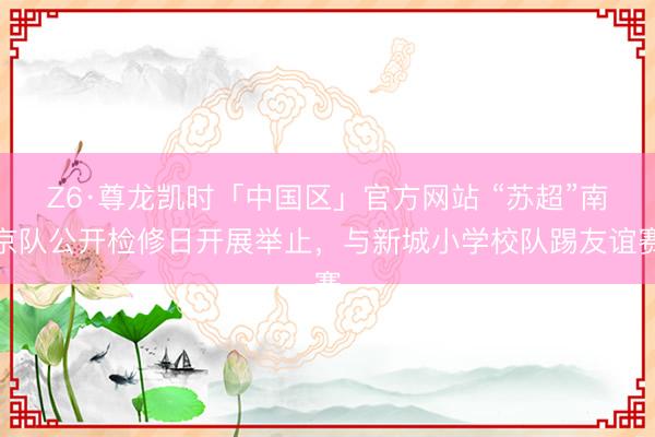 Z6·尊龙凯时「中国区」官方网站 “苏超”南京队公开检修日开展举止，与新城小学校队踢友谊赛