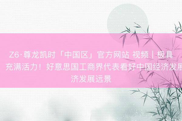 Z6·尊龙凯时「中国区」官方网站 视频|极具改动、充满活力!好意思国工商界代表看好中国经济发展远景