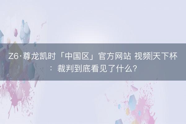 Z6·尊龙凯时「中国区」官方网站 视频|天下杯：裁判到底看见了什么?