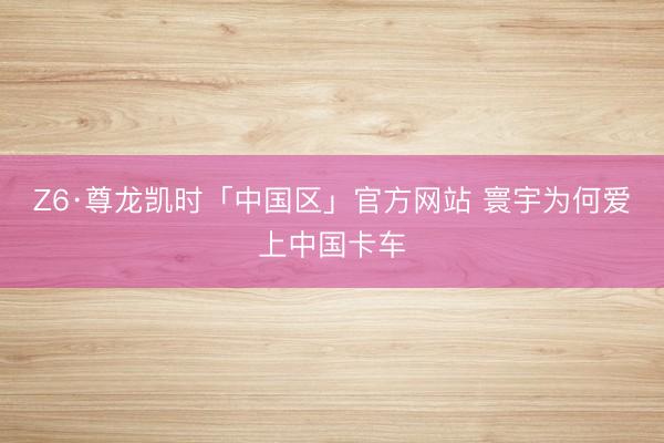 Z6·尊龙凯时「中国区」官方网站 寰宇为何爱上中国卡车