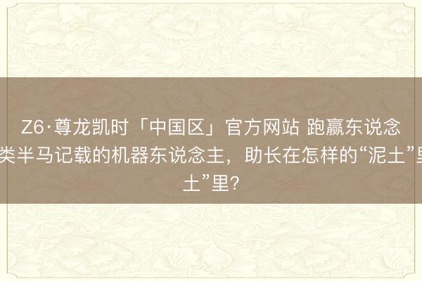 Z6·尊龙凯时「中国区」官方网站 跑赢东说念主类半马记载的机器东说念主，助长在怎样的“泥土”里？