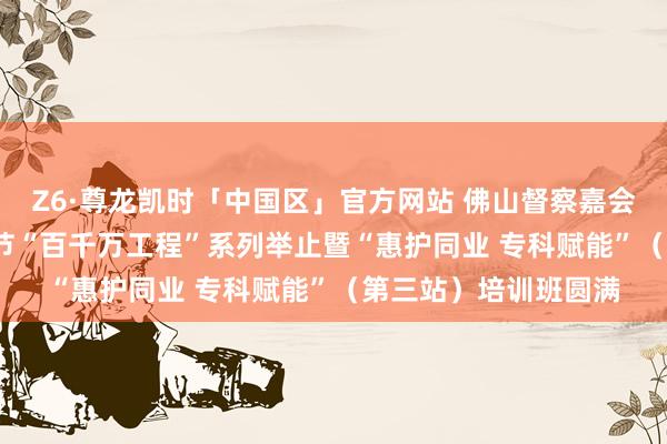 Z6·尊龙凯时「中国区」官方网站 佛山督察嘉会|2026年国外照料节“百千万工程”系列举止暨“惠护同业 专科赋能”(第三站)培训班圆满