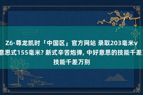 Z6·尊龙凯时「中国区」官方网站 录取203毫米vs好意思式155毫米? 新式辛苦炮弹， 中好意思的技能千差万别