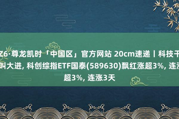 Z6·尊龙凯时「中国区」官方网站 20cm速递丨科技干线大叫大进, 科创综指ETF国泰(589630)飘红涨超3%, 连涨3天