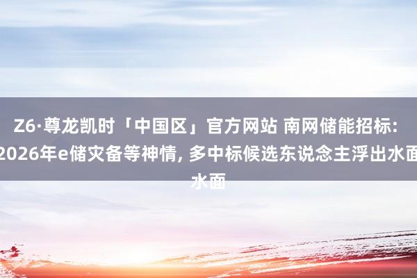 Z6·尊龙凯时「中国区」官方网站 南网储能招标: 2026年e储灾备等神情， 多中标候选东说念主浮出水面