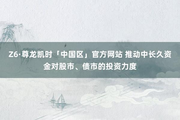 Z6·尊龙凯时「中国区」官方网站 推动中长久资金对股市、债市的投资力度